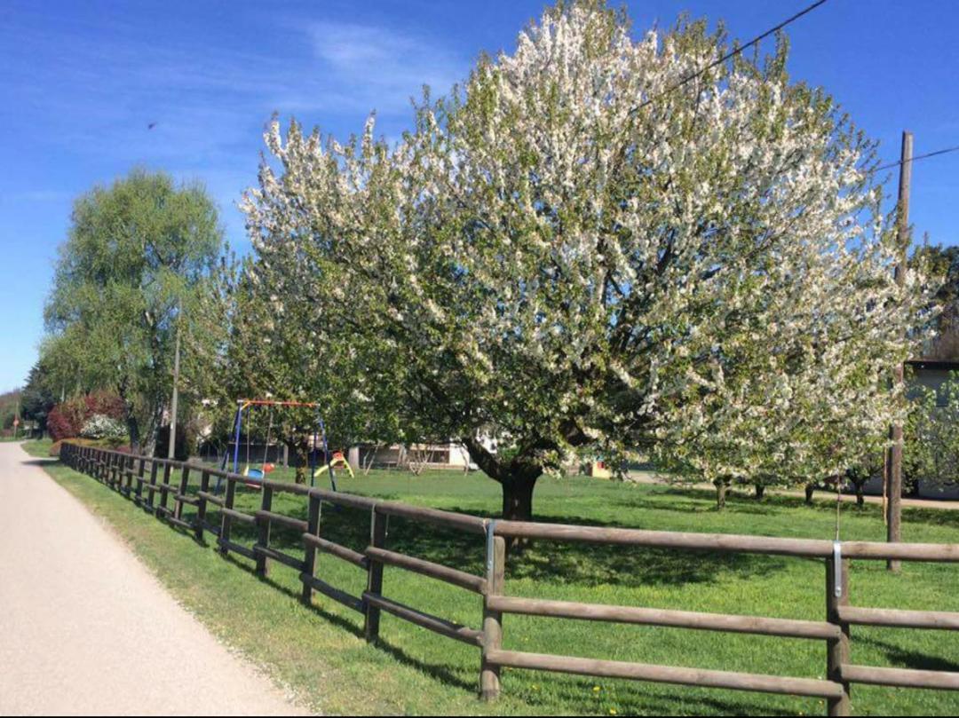 Azienda Agrituristica Scotti Σόμα Λομπάρντο Εξωτερικό φωτογραφία