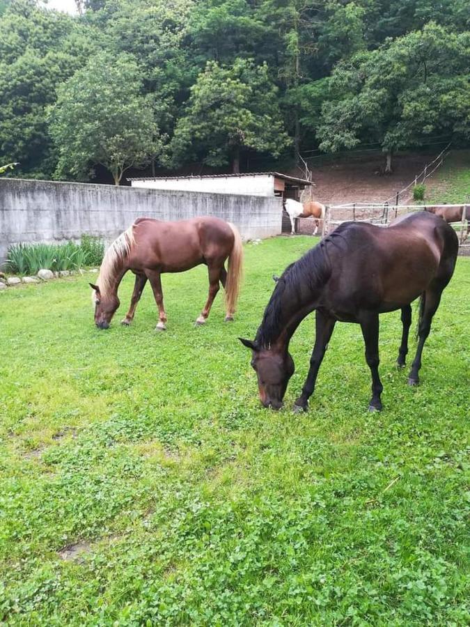 Azienda Agrituristica Scotti Σόμα Λομπάρντο Εξωτερικό φωτογραφία